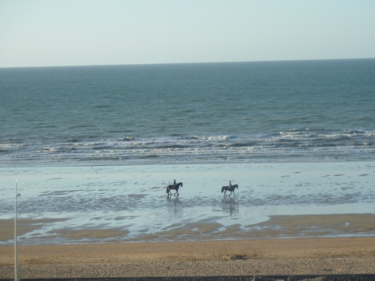 Cabourgdeauville2014 059